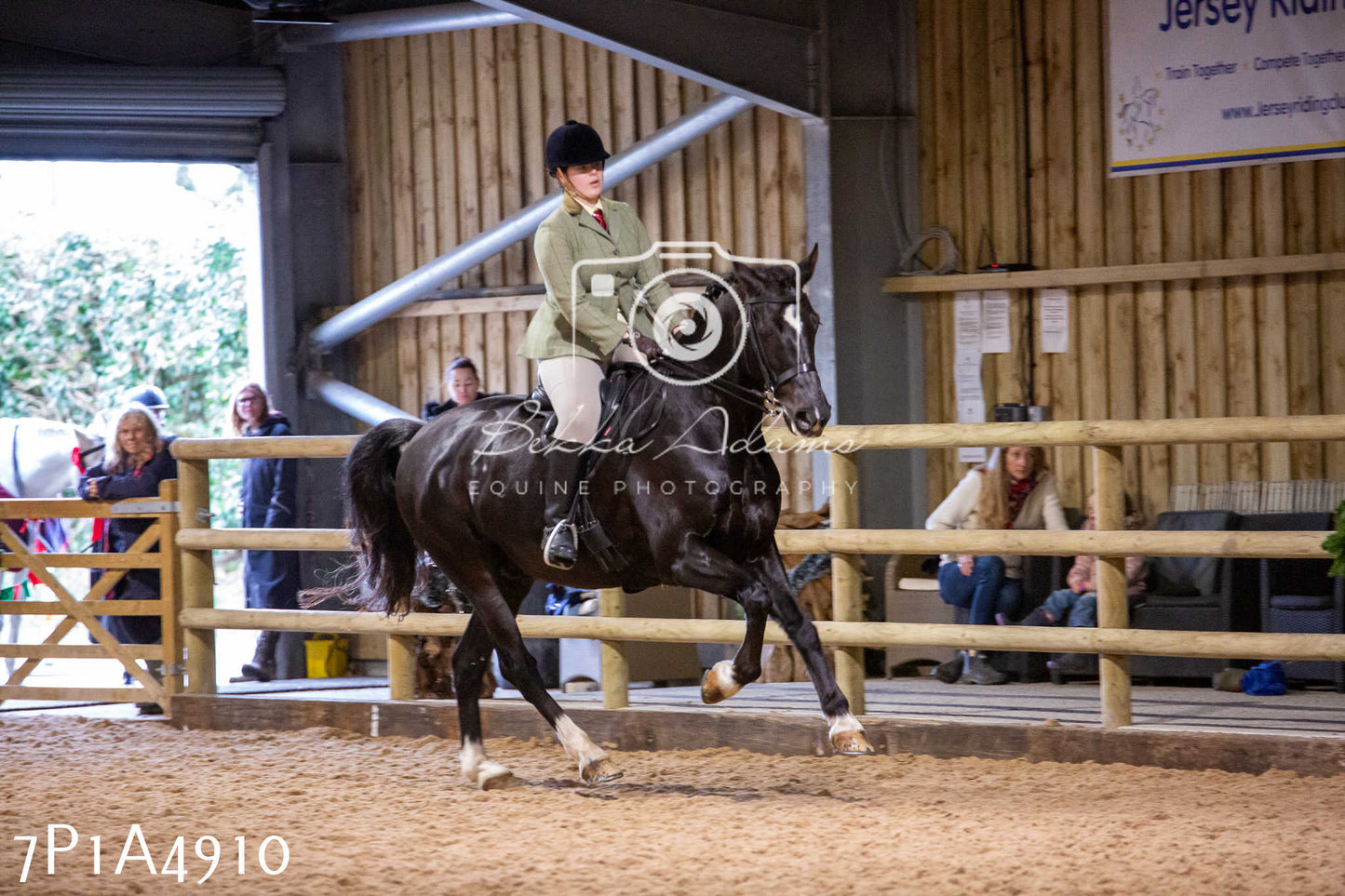 Home Farm Christmas Show 2024 - Ridden