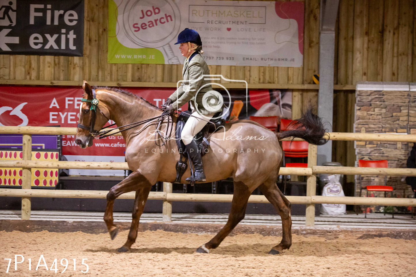 Home Farm Christmas Show 2024 - Ridden