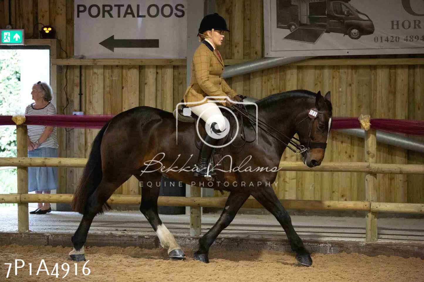 JHOYS 2023 - 10th September - Ridden Showing Pt1