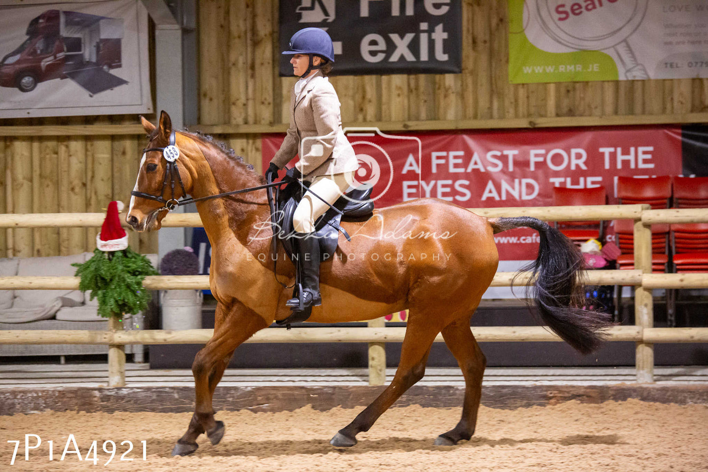 Home Farm Christmas Show 2024 - Ridden