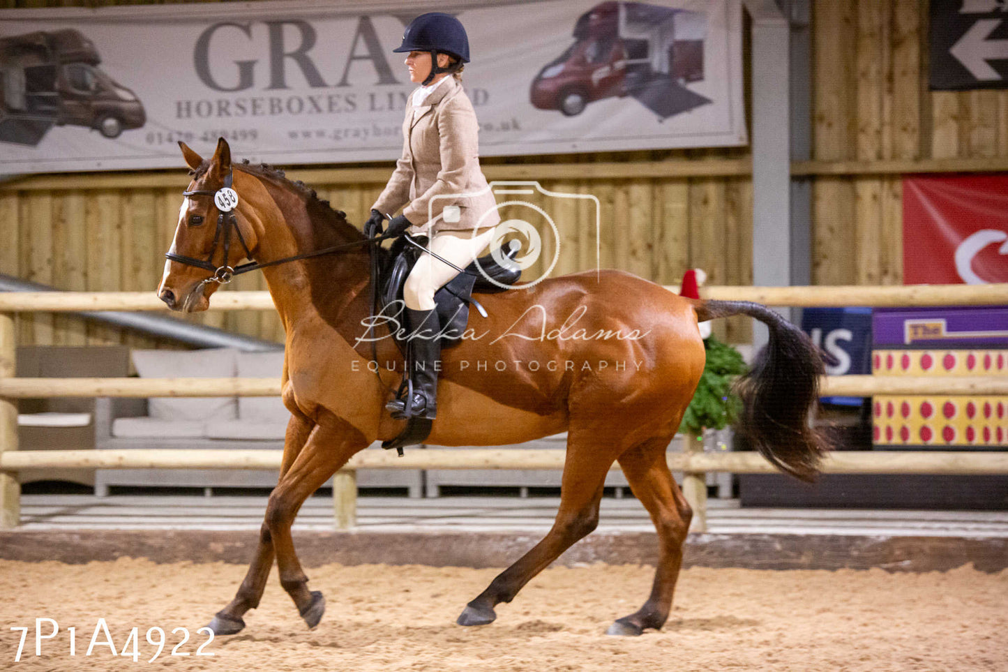 Home Farm Christmas Show 2024 - Ridden