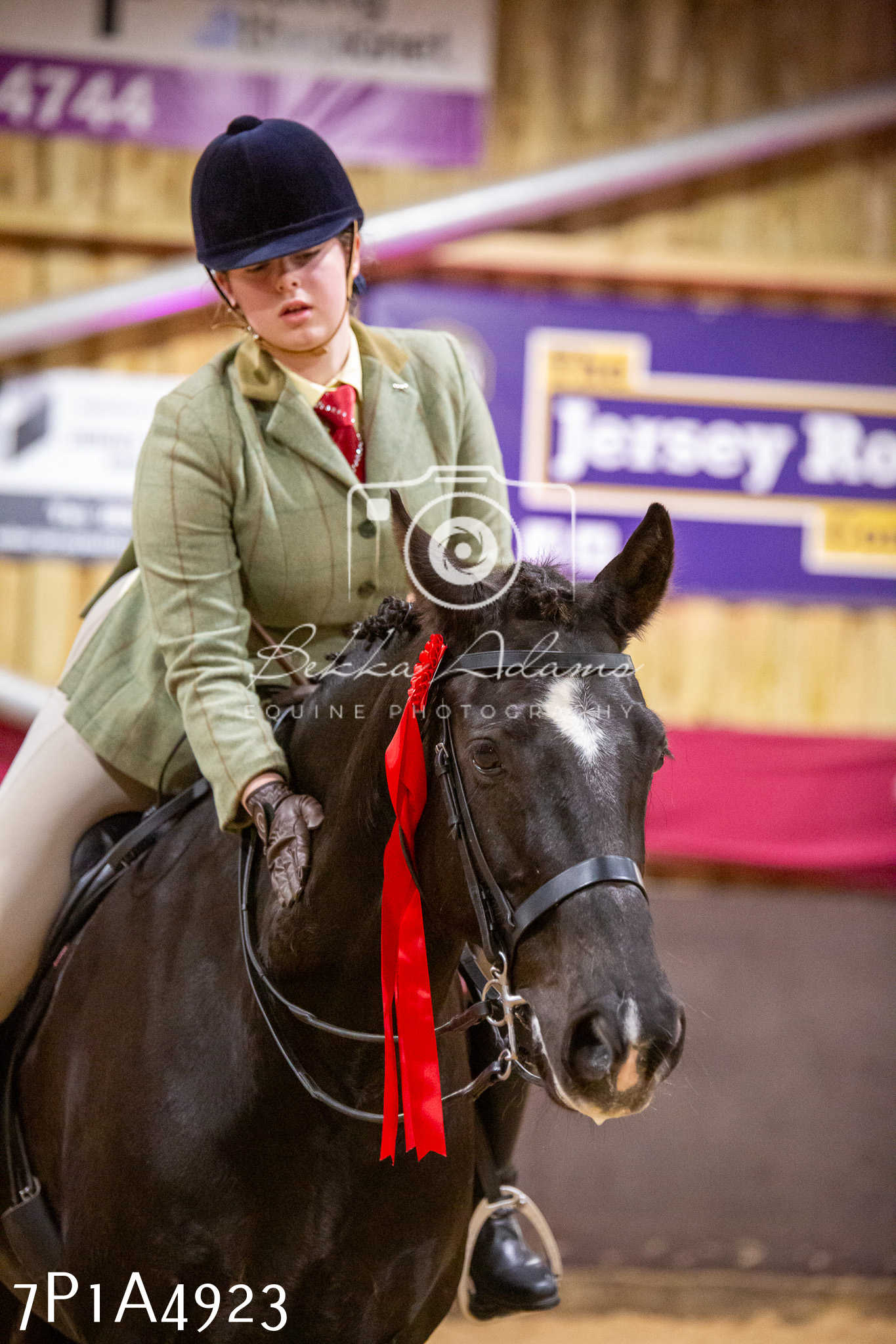 Home Farm Christmas Show 2024 - Ridden