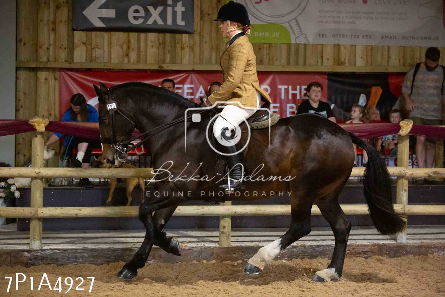 JHOYS 2023 - 10th September - Ridden Showing Pt1