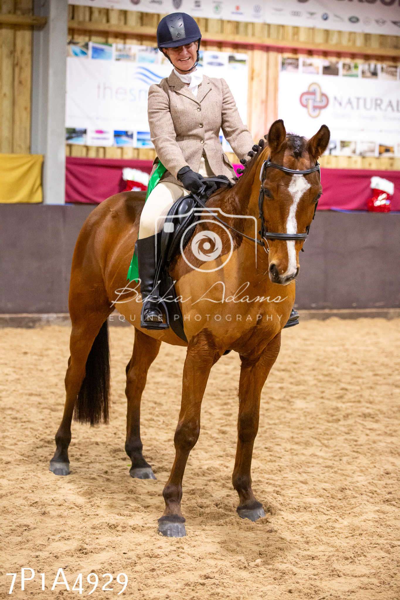 Home Farm Christmas Show 2024 - Ridden