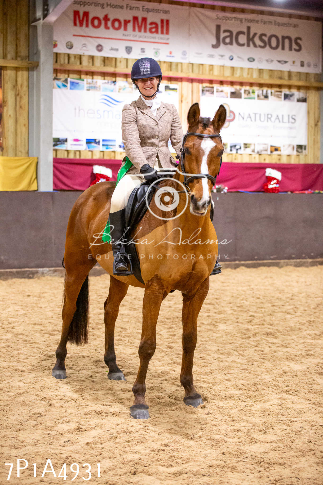 Home Farm Christmas Show 2024 - Ridden