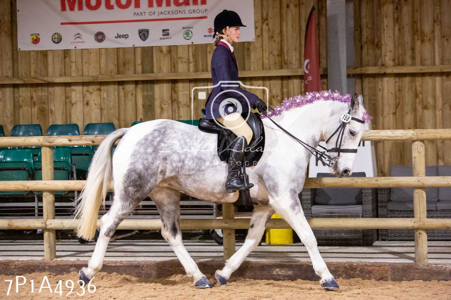 Home Farm Christmas Show 2024 - Ridden