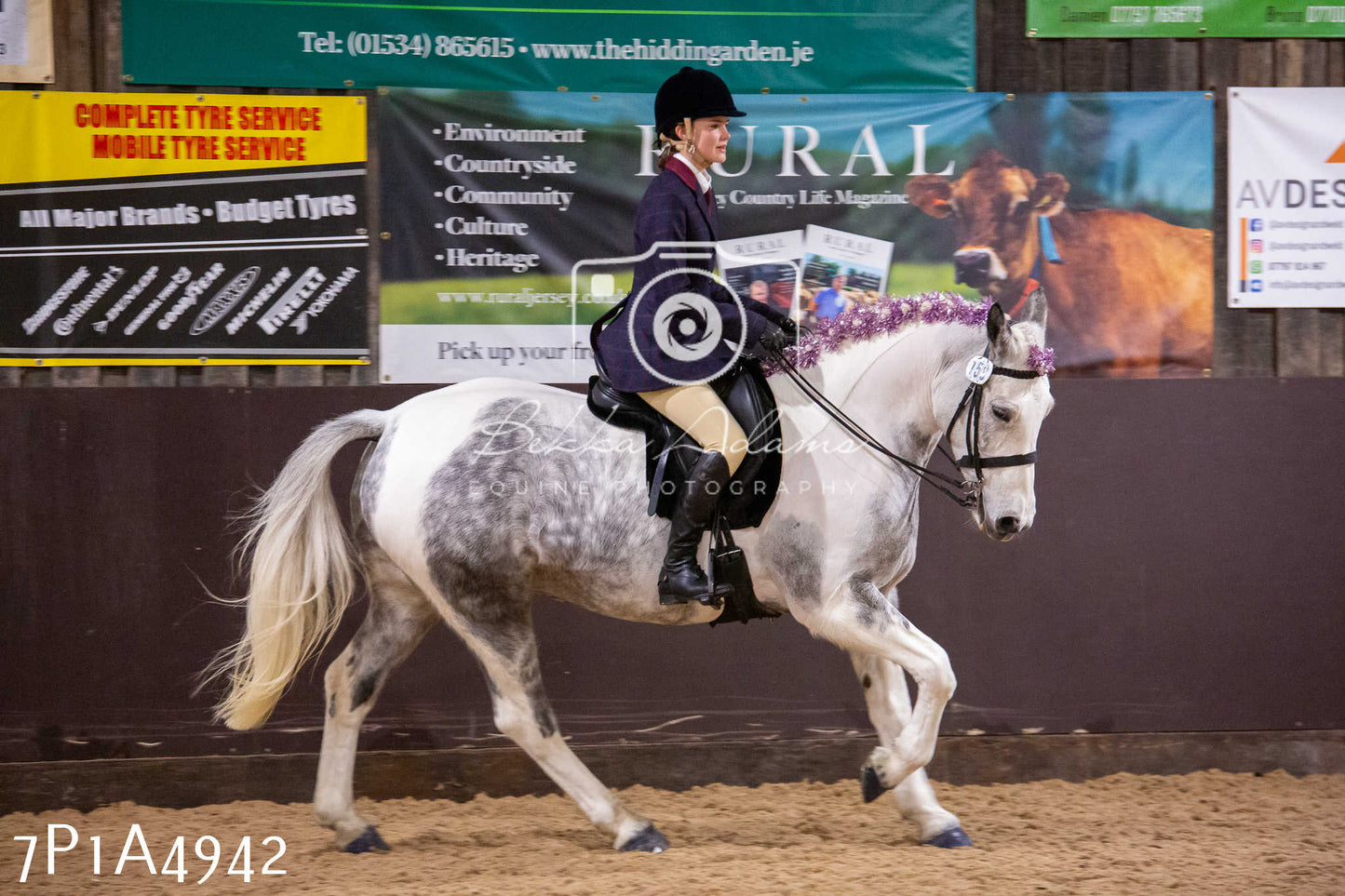 Home Farm Christmas Show 2024 - Ridden