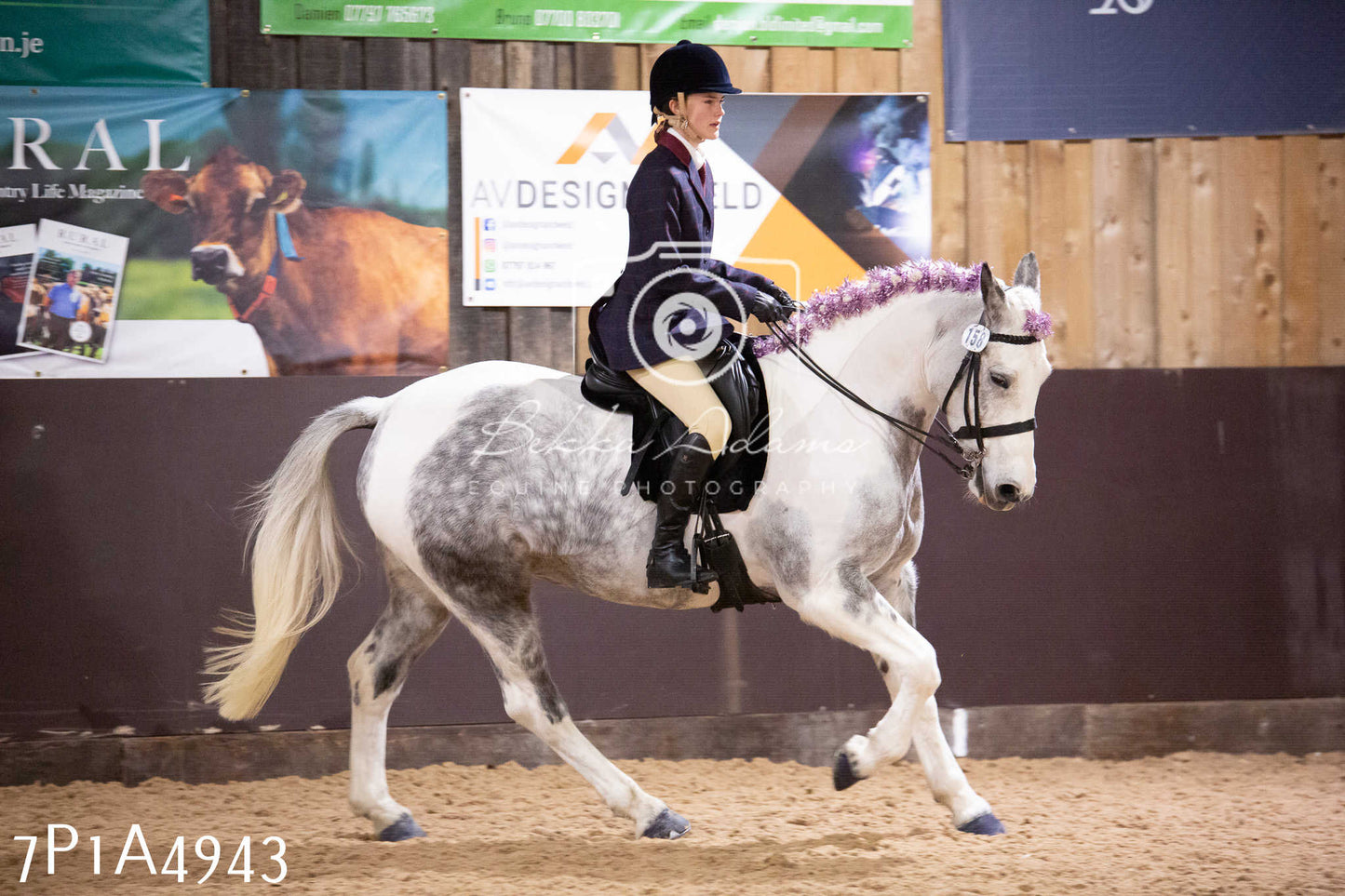 Home Farm Christmas Show 2024 - Ridden