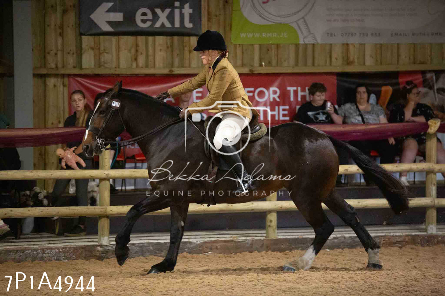 JHOYS 2023 - 10th September - Ridden Showing Pt1