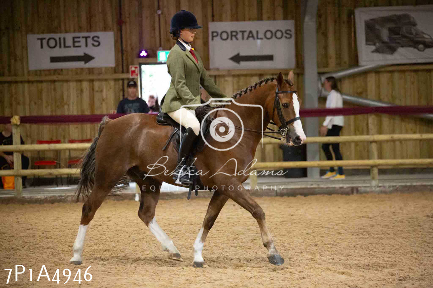 JHOYS 2023 - 10th September - Ridden Showing Pt1