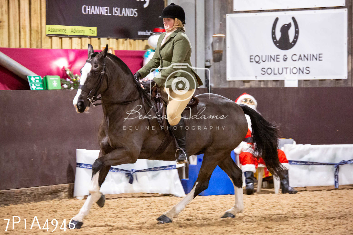 Home Farm Christmas Show 2024 - Ridden