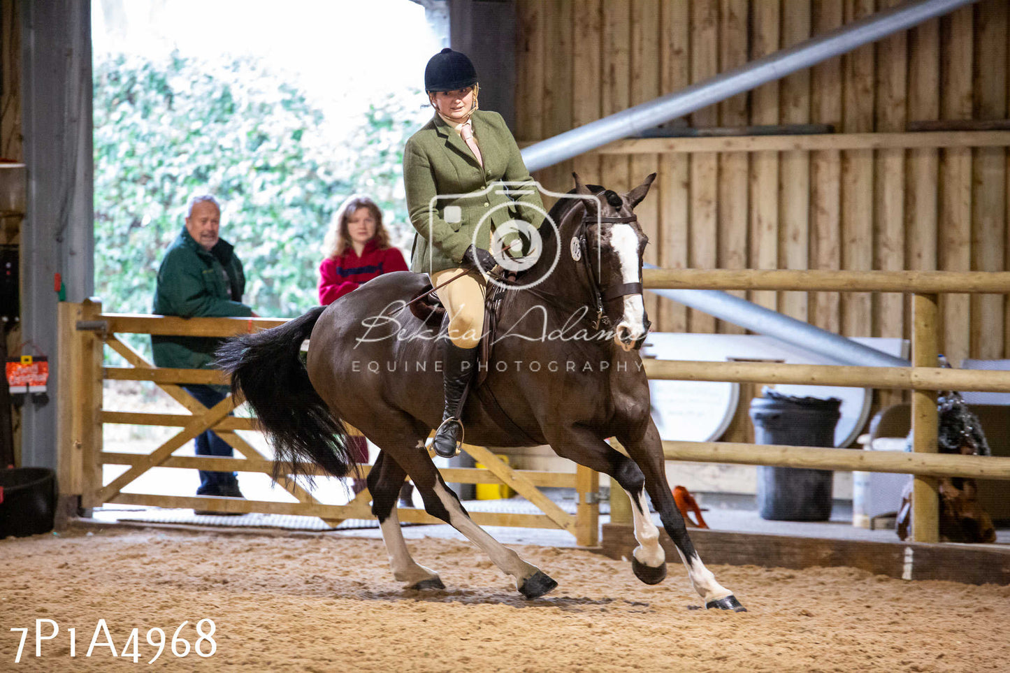 Home Farm Christmas Show 2024 - Ridden