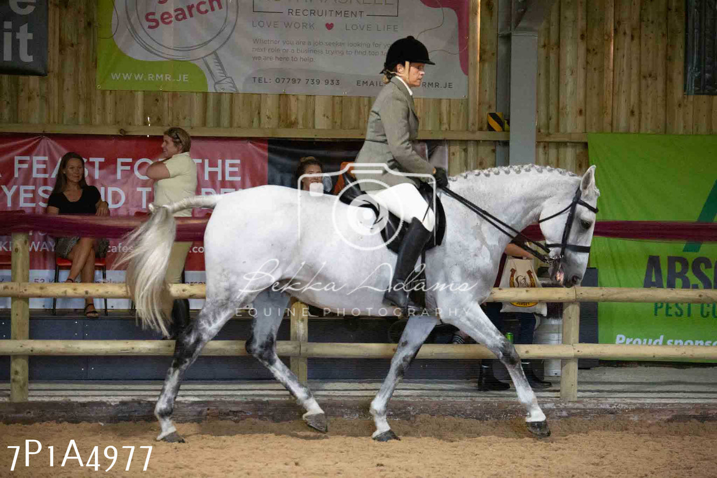 JHOYS 2023 - 10th September - Ridden Showing Pt1