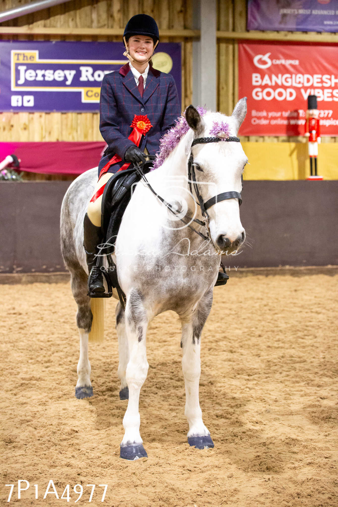 Home Farm Christmas Show 2024 - Ridden