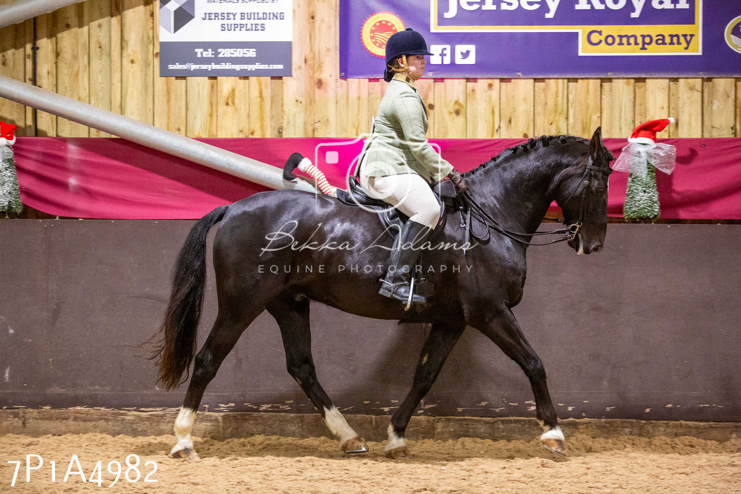 Home Farm Christmas Show 2024 - Ridden