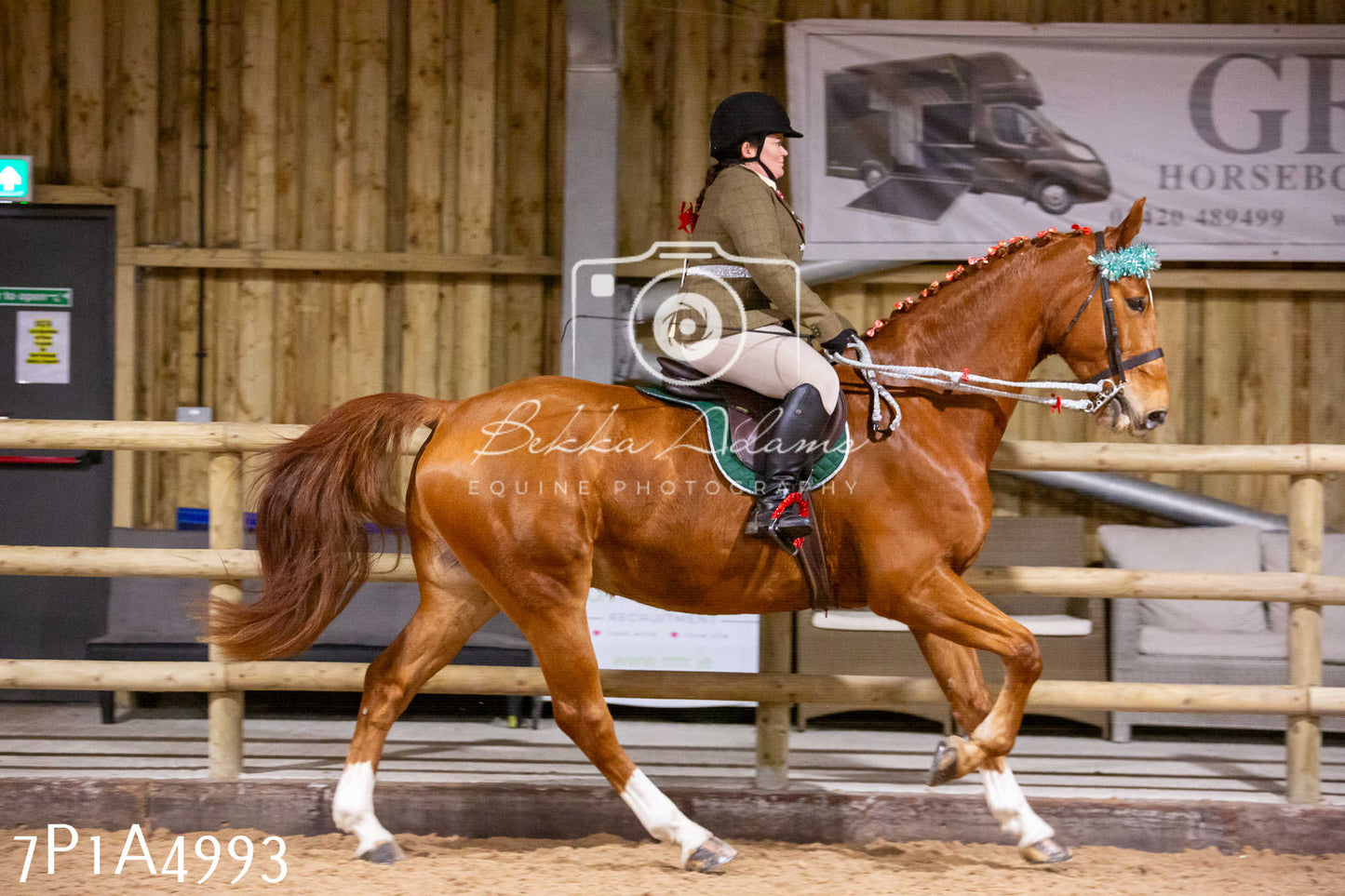 Home Farm Christmas Show 2024 - Ridden