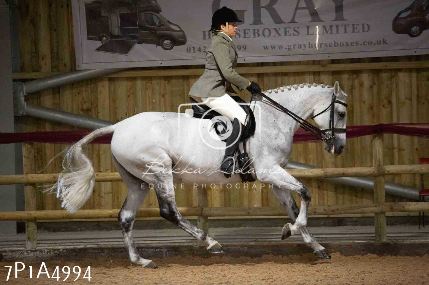 JHOYS 2023 - 10th September - Ridden Showing Pt1