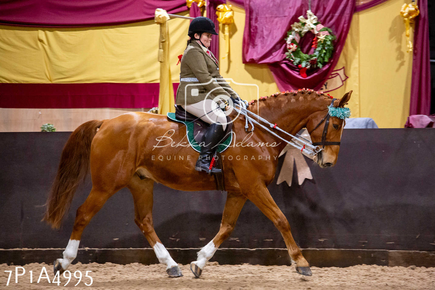 Home Farm Christmas Show 2024 - Ridden