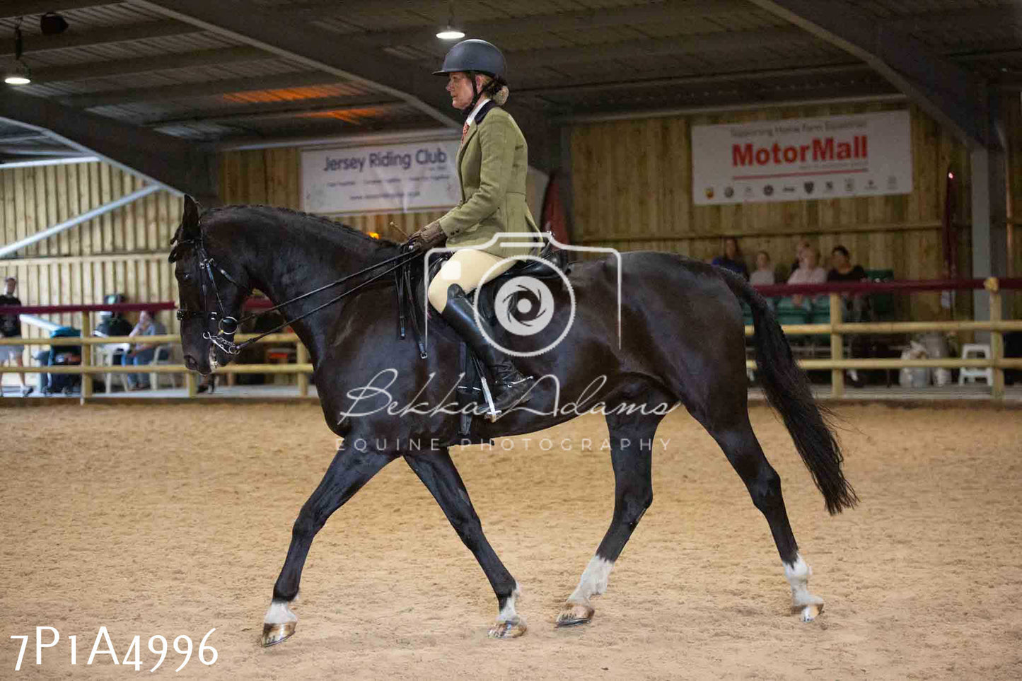 JHOYS 2023 - 10th September - Ridden Showing Pt1