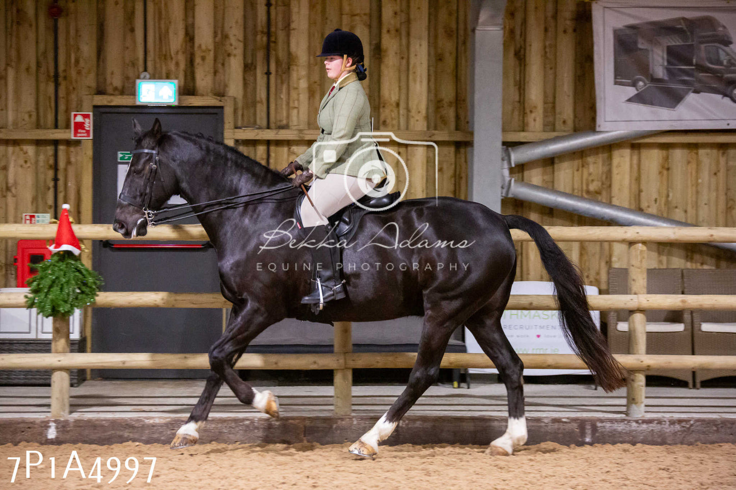 Home Farm Christmas Show 2024 - Ridden