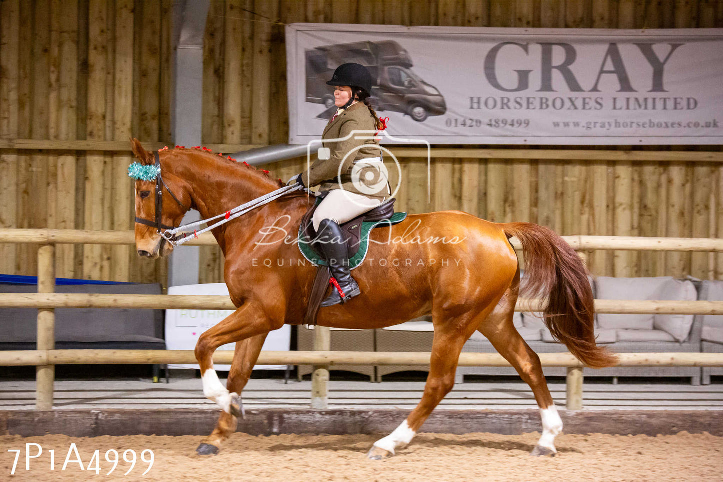 Home Farm Christmas Show 2024 - Ridden