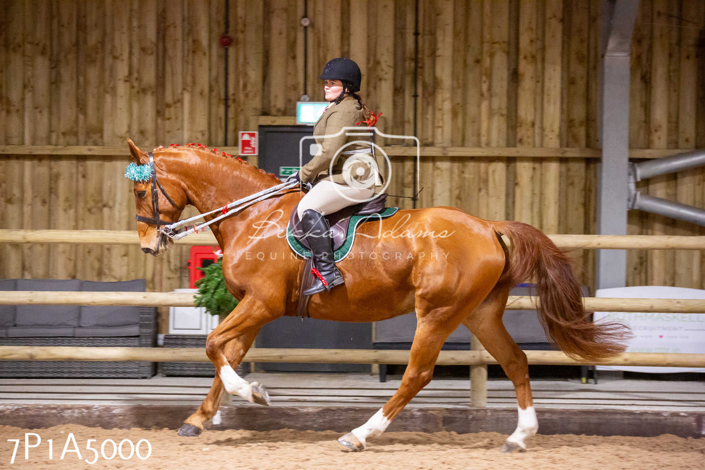 Home Farm Christmas Show 2024 - Ridden