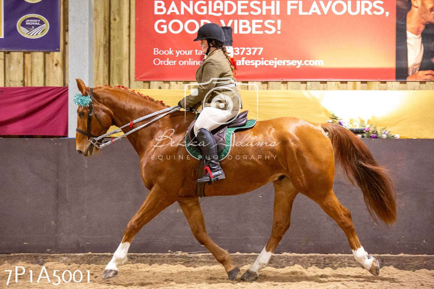Home Farm Christmas Show 2024 - Ridden