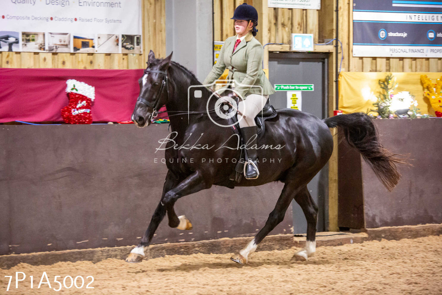 Home Farm Christmas Show 2024 - Ridden