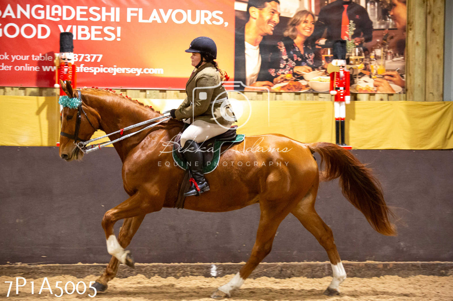 Home Farm Christmas Show 2024 - Ridden