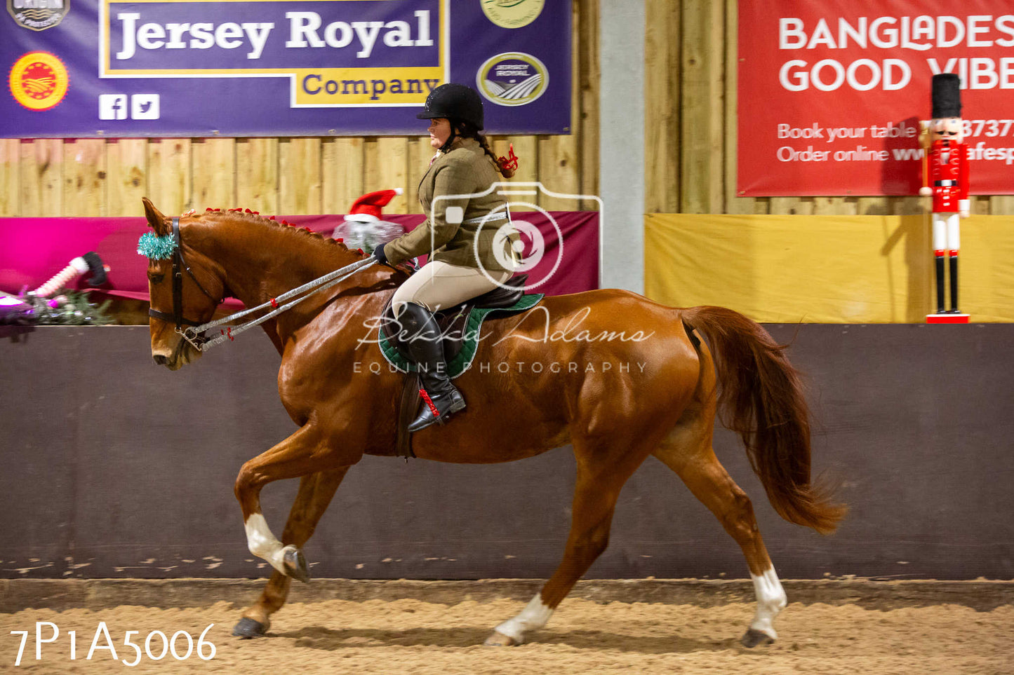 Home Farm Christmas Show 2024 - Ridden