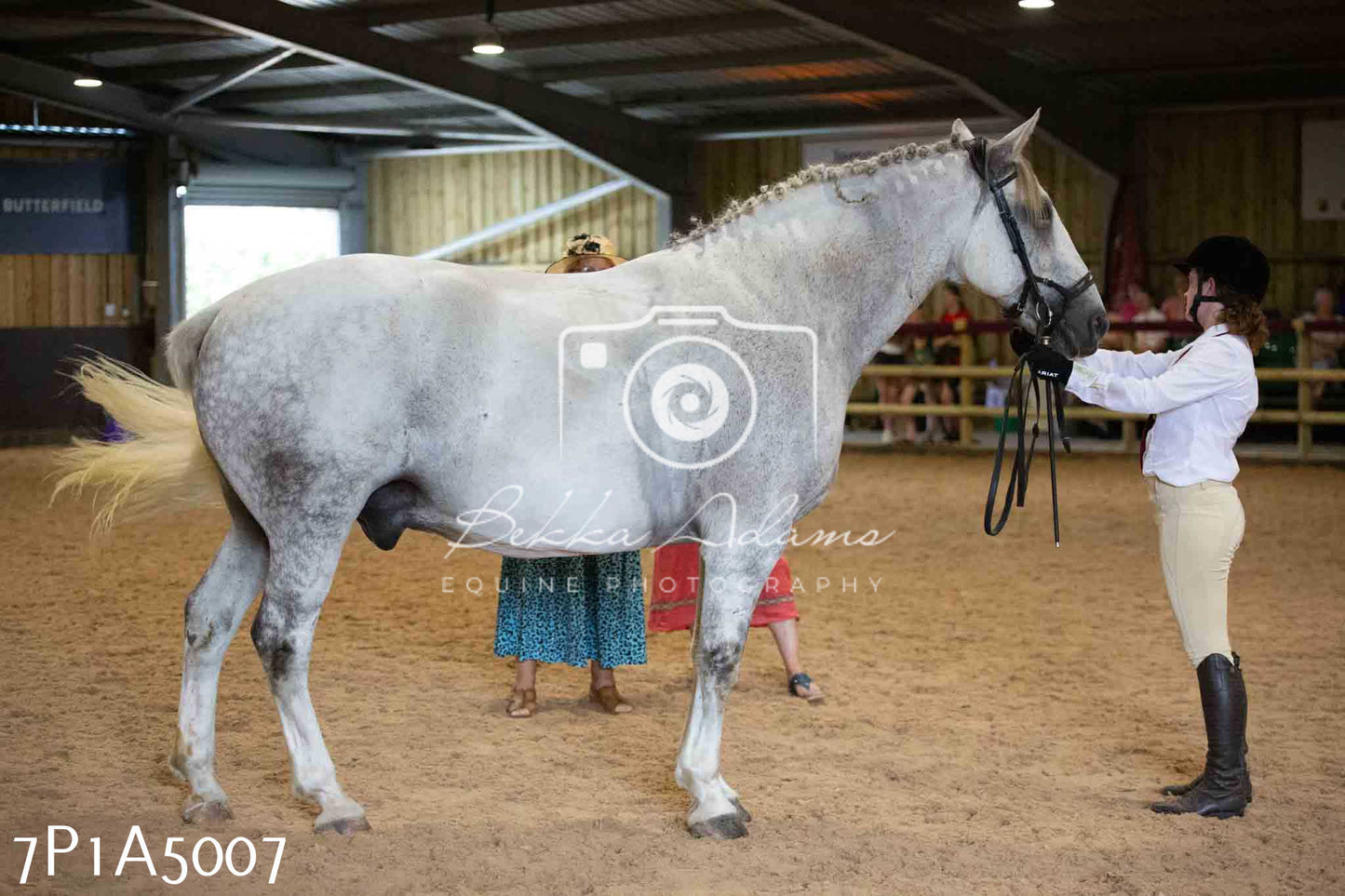 JHOYS 2023 - 10th September - Ridden Showing Pt1