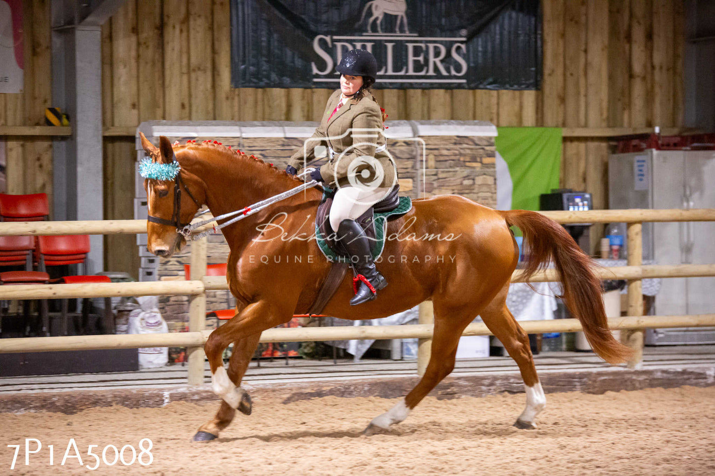 Home Farm Christmas Show 2024 - Ridden