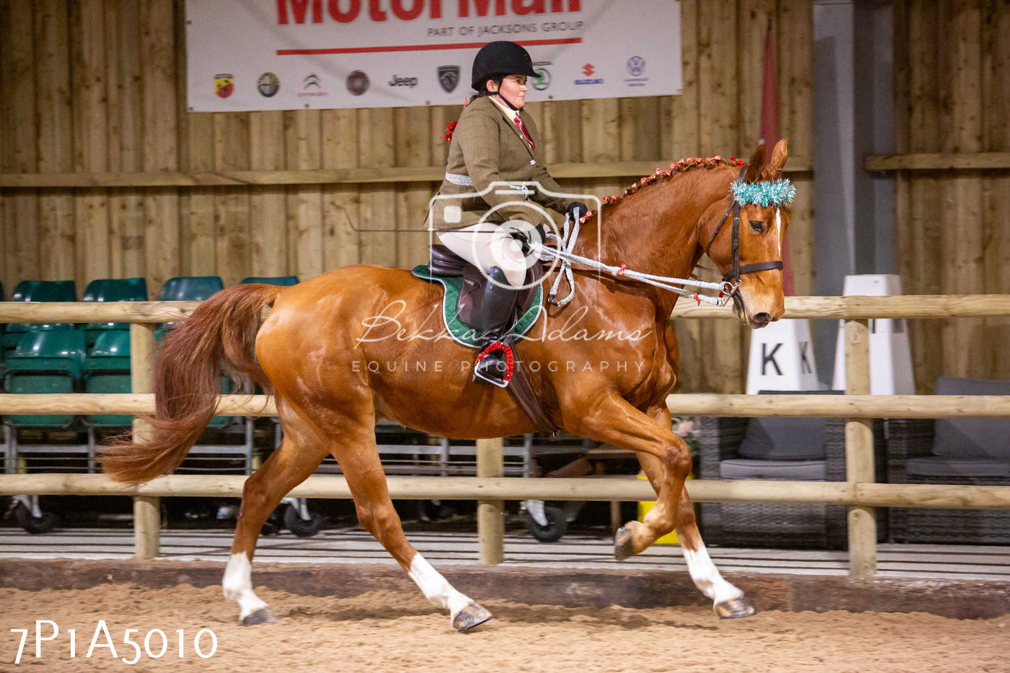Home Farm Christmas Show 2024 - Ridden