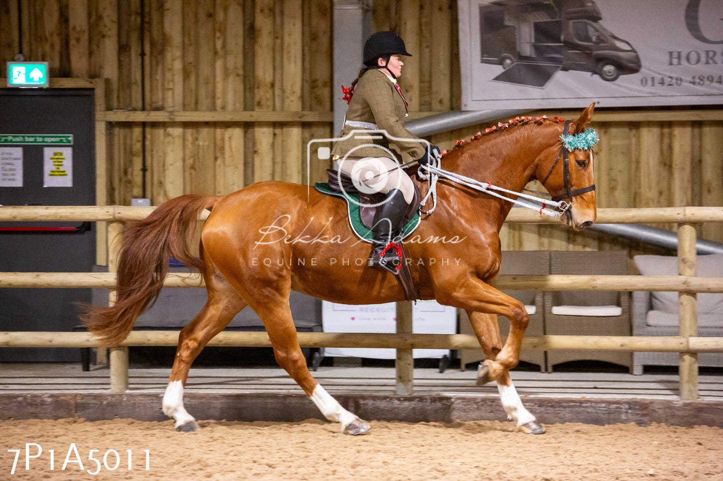 Home Farm Christmas Show 2024 - Ridden