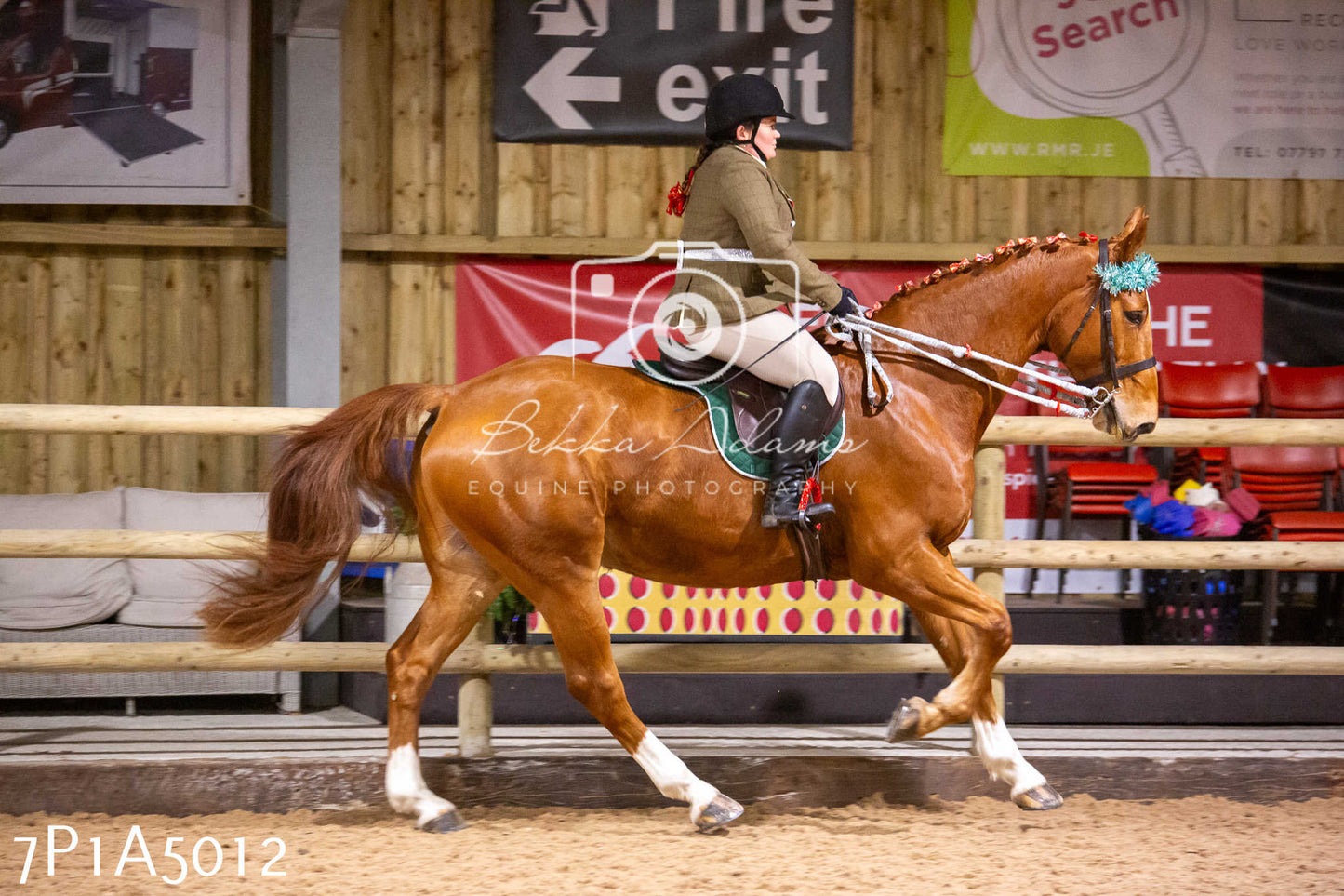 Home Farm Christmas Show 2024 - Ridden