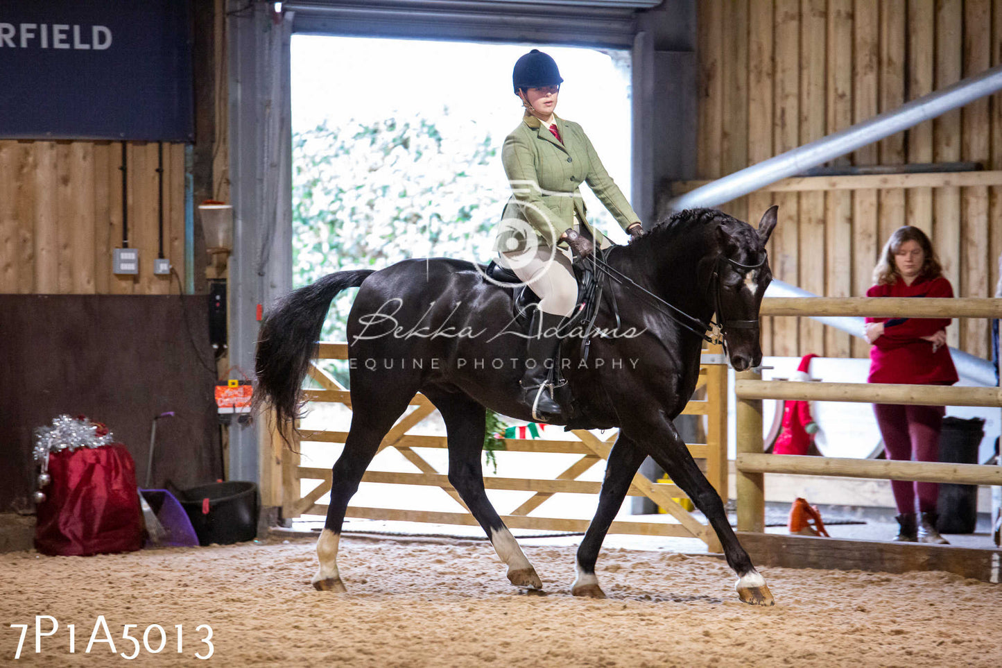 Home Farm Christmas Show 2024 - Ridden