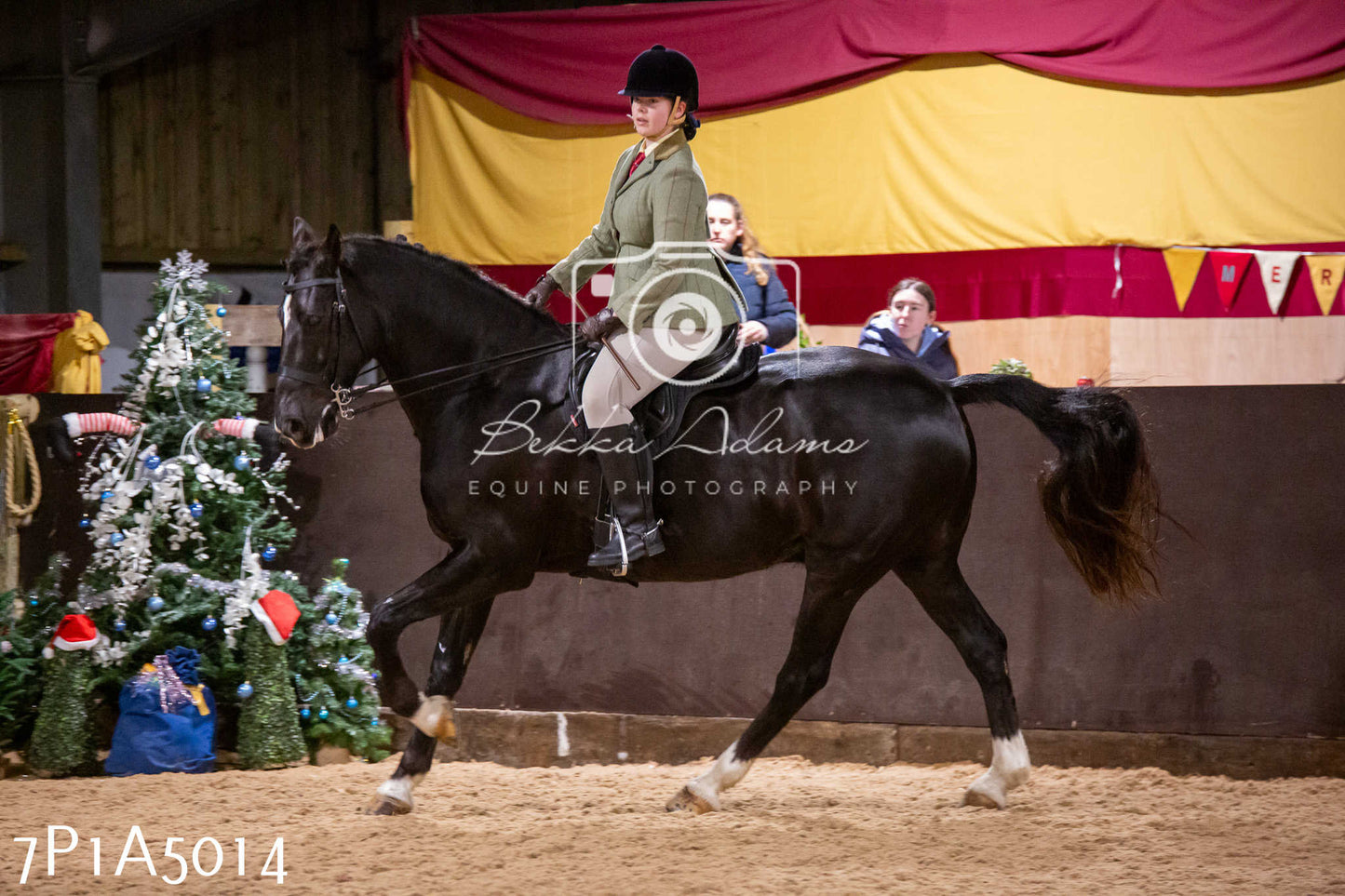 Home Farm Christmas Show 2024 - Ridden