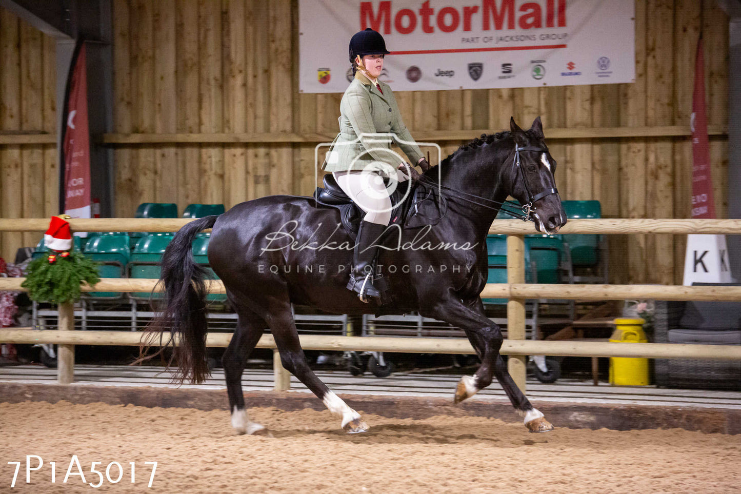 Home Farm Christmas Show 2024 - Ridden