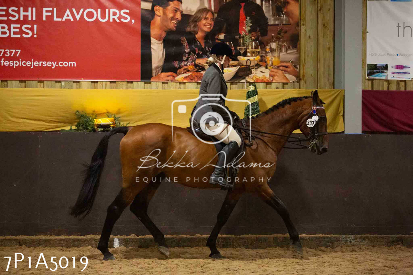 JHOYS 2023 - 10th September - Ridden Showing Pt1