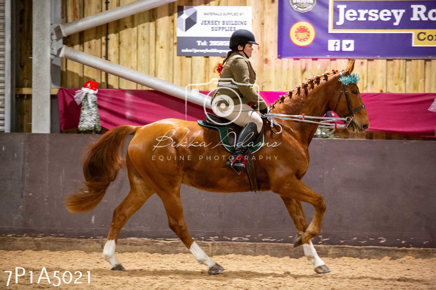 Home Farm Christmas Show 2024 - Ridden