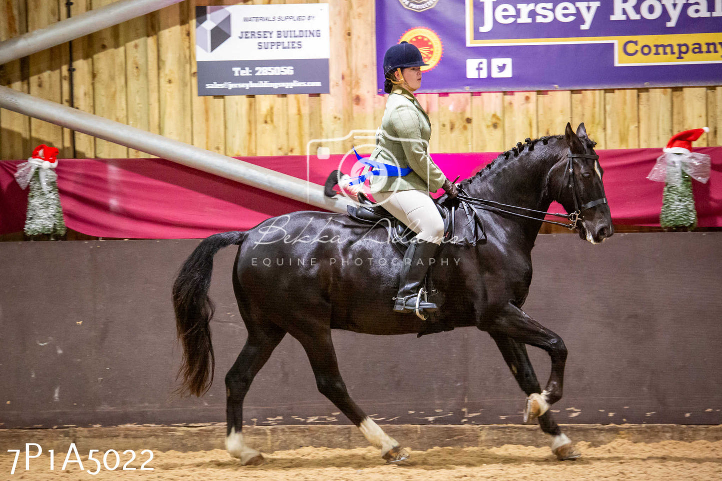 Home Farm Christmas Show 2024 - Ridden