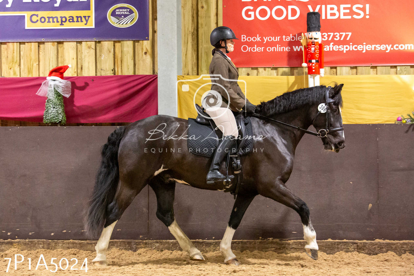 Home Farm Christmas Show 2024 - Ridden