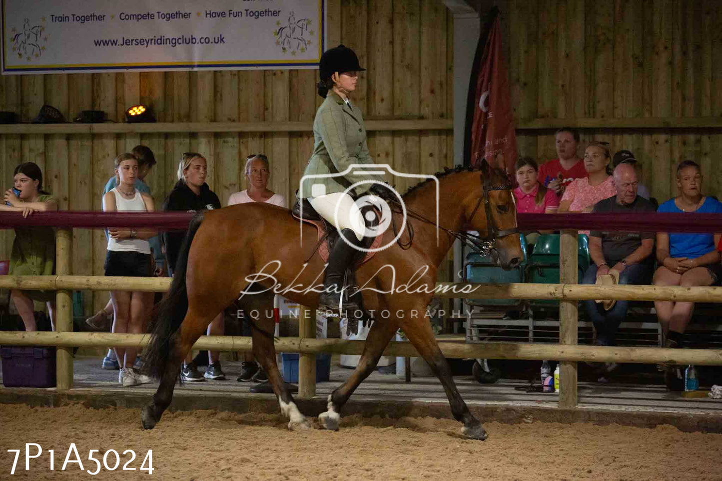 JHOYS 2023 - 10th September - Ridden Showing Pt1