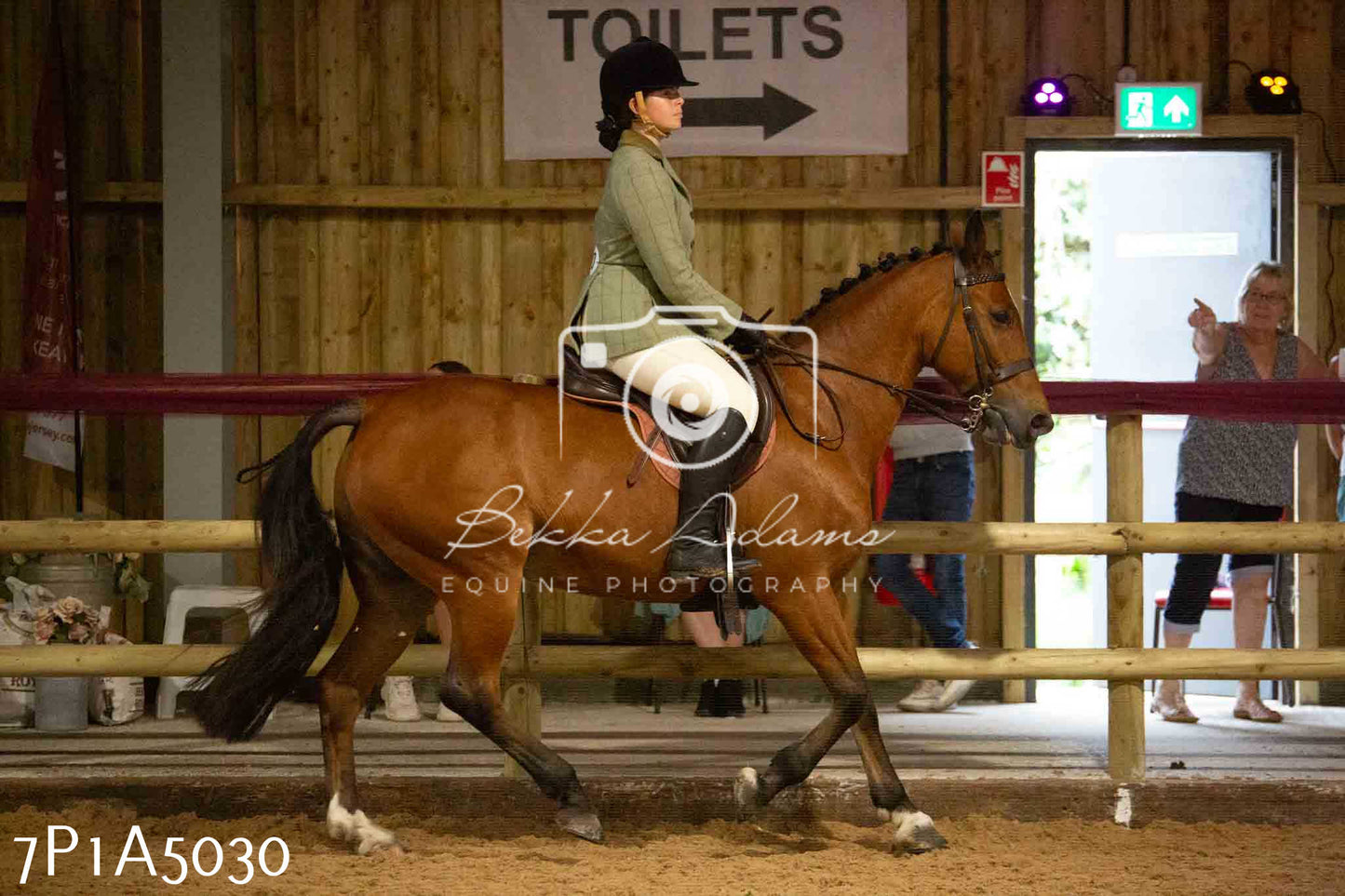JHOYS 2023 - 10th September - Ridden Showing Pt1