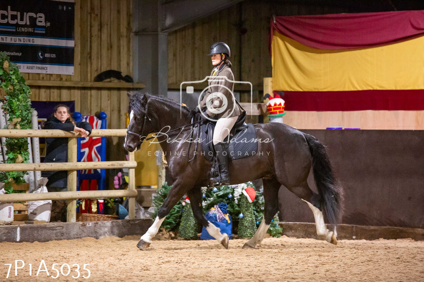 Home Farm Christmas Show 2024 - Ridden