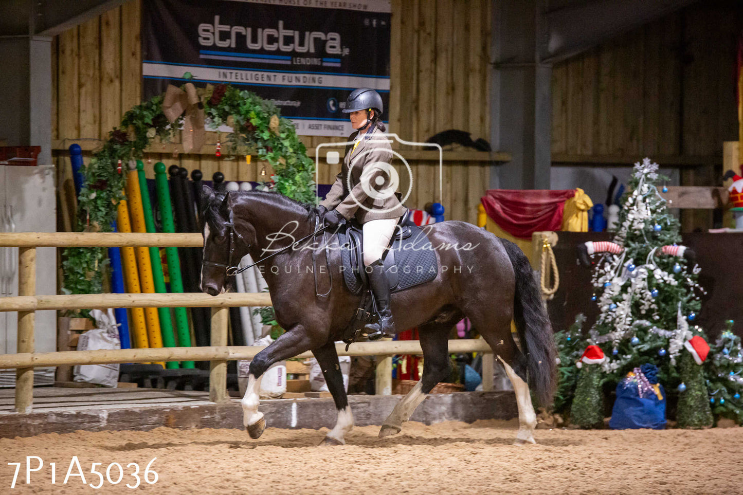 Home Farm Christmas Show 2024 - Ridden