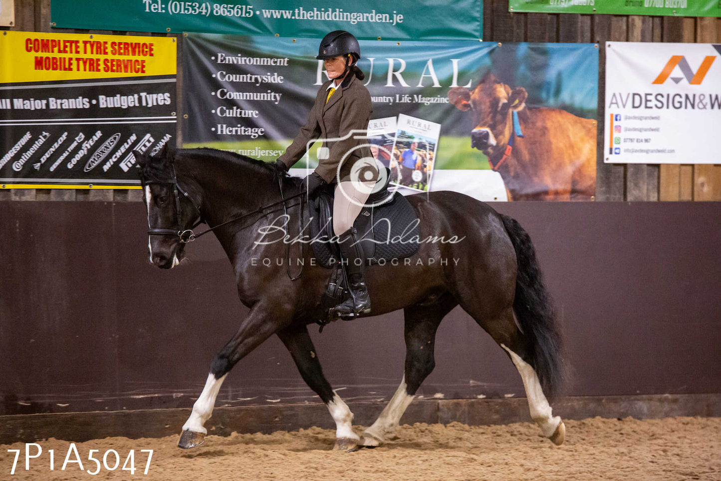 Home Farm Christmas Show 2024 - Ridden
