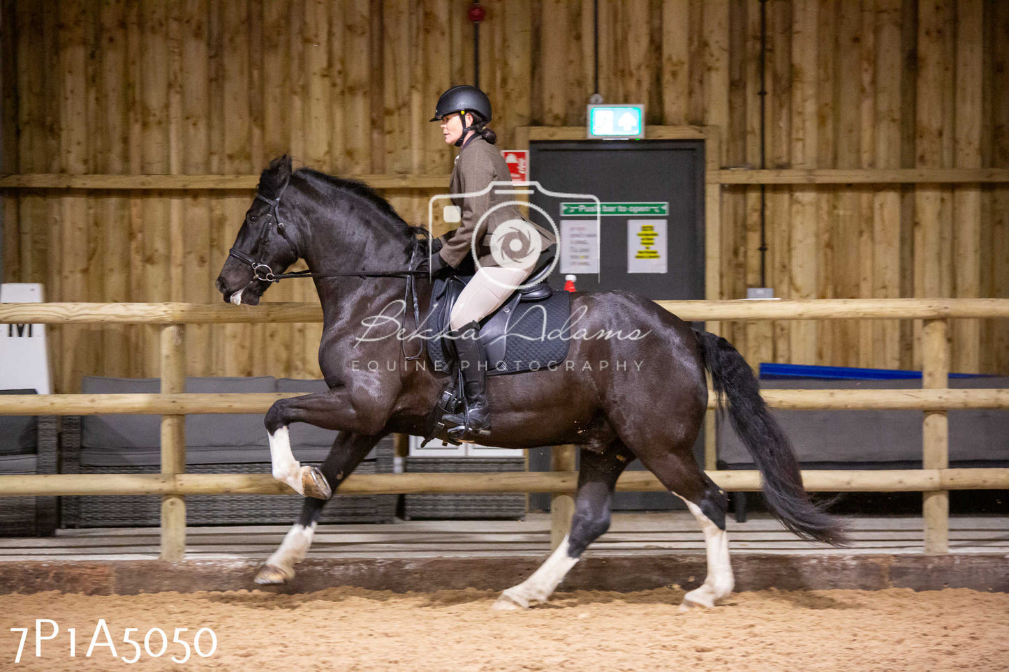 Home Farm Christmas Show 2024 - Ridden