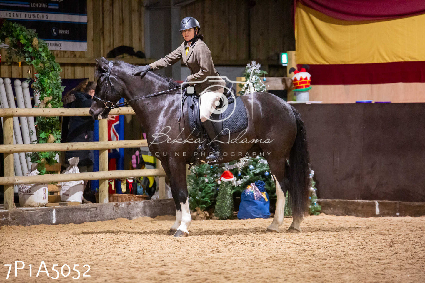 Home Farm Christmas Show 2024 - Ridden