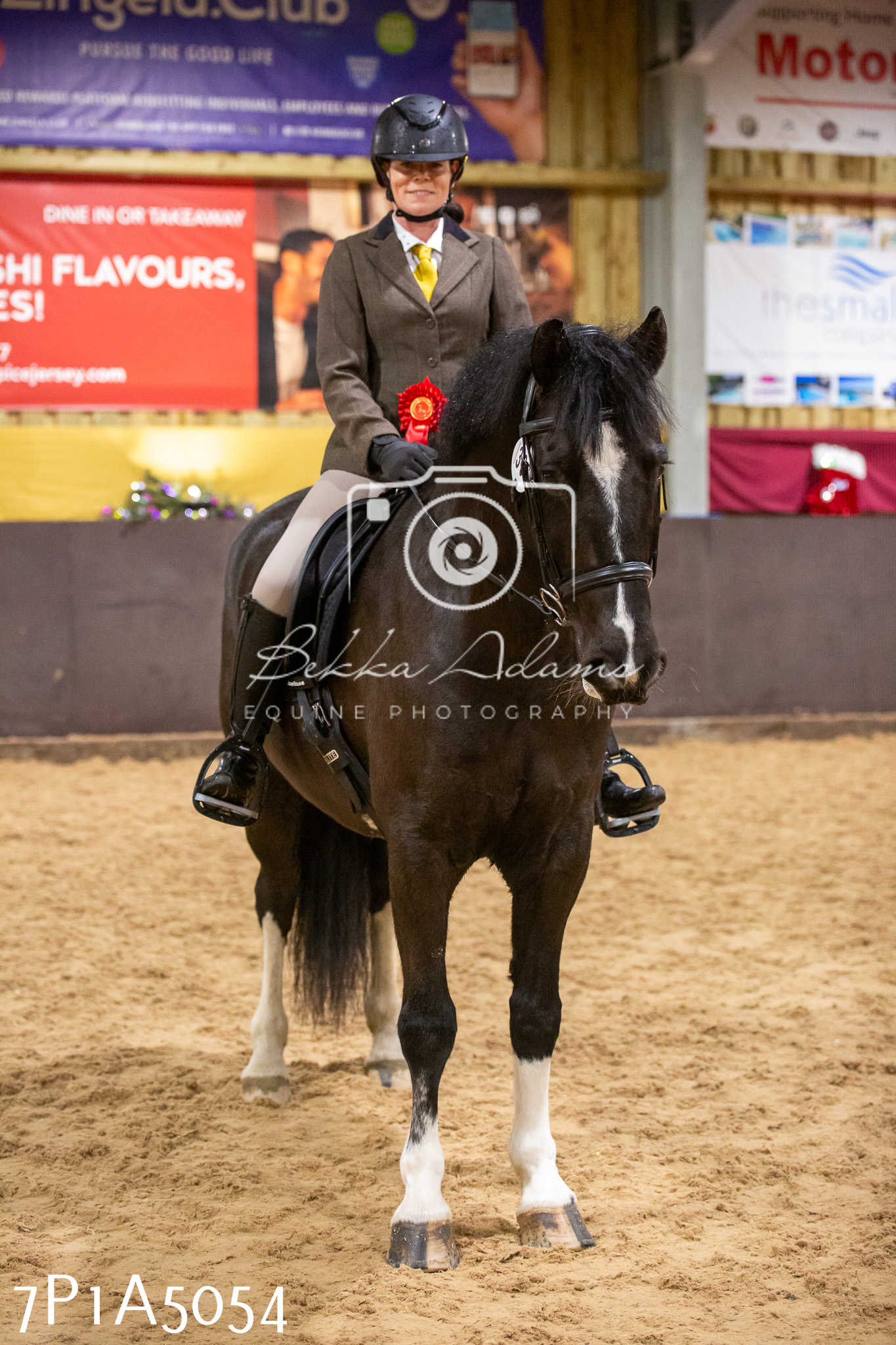 Home Farm Christmas Show 2024 - Ridden